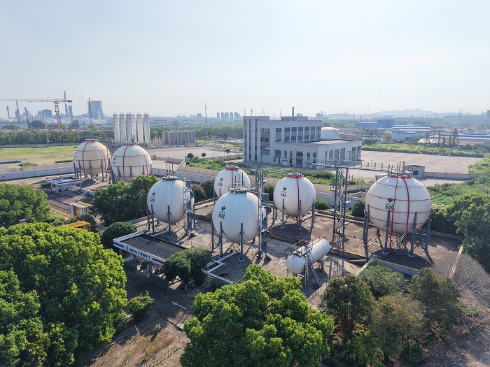 1761893534186516.jpg 2.jpg