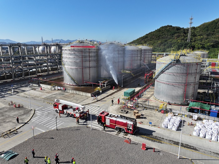 1764639545251601.jpg 1.jpg