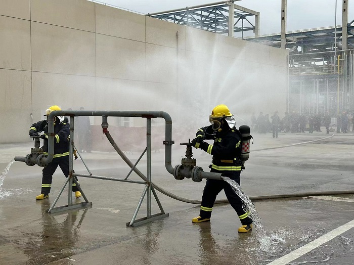 1764639600988366.jpg 4.jpg